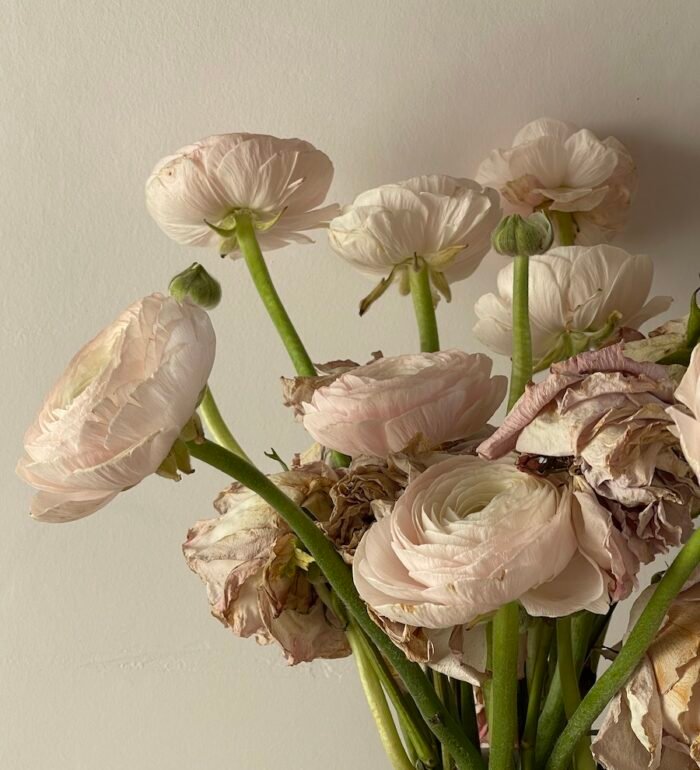 Photo by Eugenia Remark