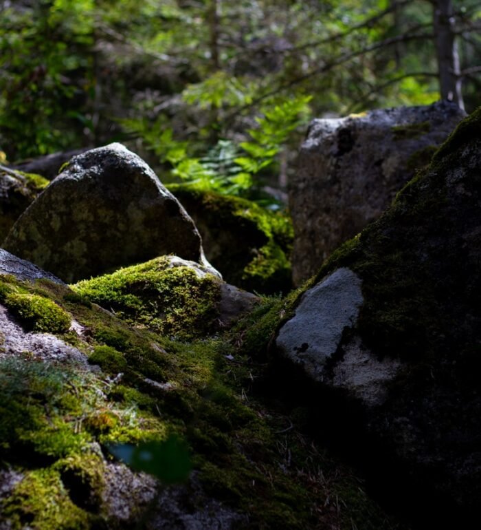 Failles géologiques